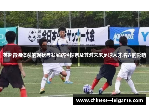 英超青训体系的现状与发展路径探索及其对未来足球人才培养的影响 英超青训体系的现状与发展路径探索及其对未来足球人才培养的影响