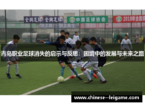 青岛职业足球消失的启示与反思：困境中的发展与未来之路