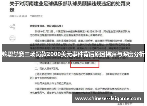 魏震禁赛三场罚款2000美元事件背后原因揭露与深度分析