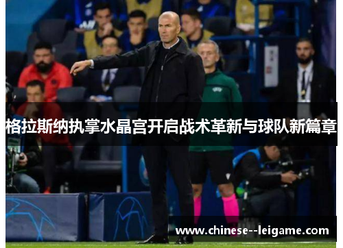 格拉斯纳执掌水晶宫开启战术革新与球队新篇章 格拉斯纳执掌水晶宫开启战术革新与球队新篇章