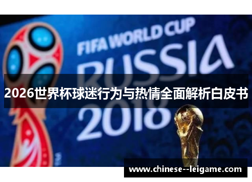 2026世界杯球迷行为与热情全面解析白皮书